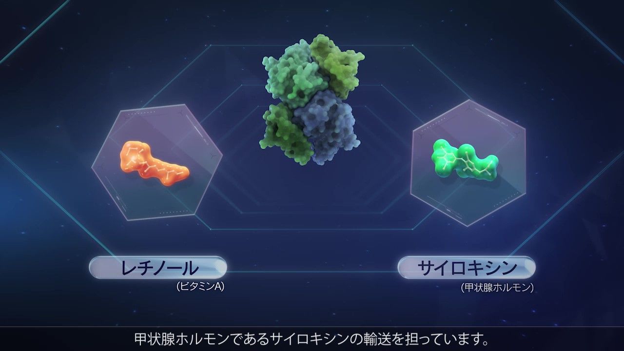What is TTR?_サムネイル